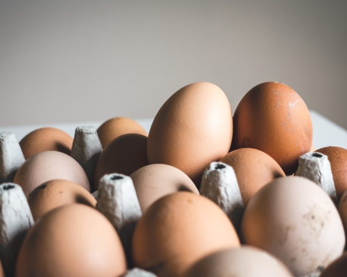 shallow focus photography of brown eggs