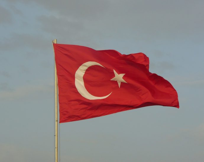 Turkish flag