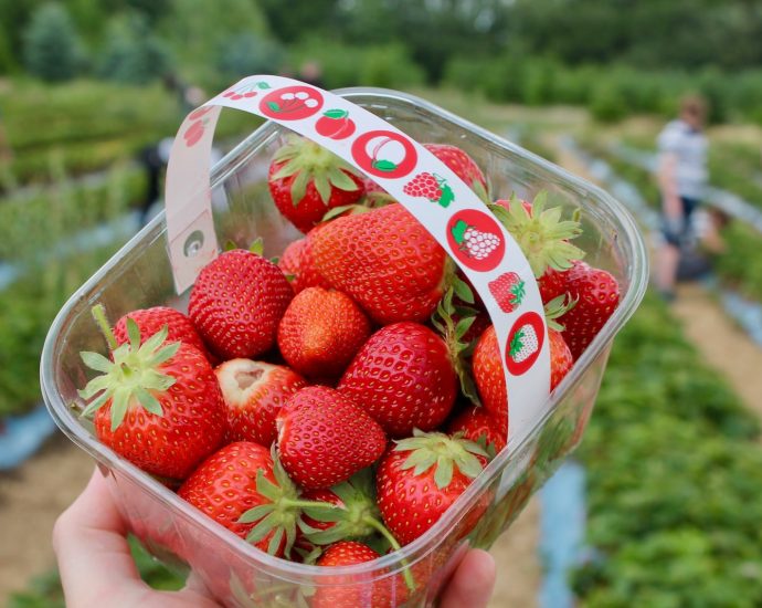 strawberries in clear glass bowl