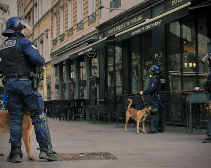 man in blue jacket walking with brown short coated dog on street during daytime