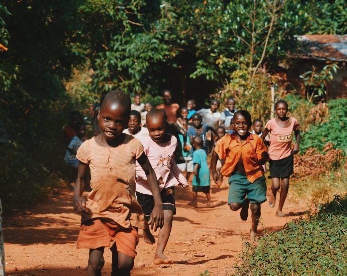 children running and walking on brown sand surrounded with trees during daytime