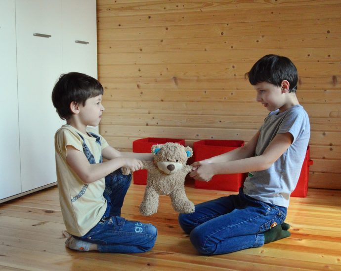 Side view full length irritated fighting brothers sitting on floor and pulling teddy bear to sides