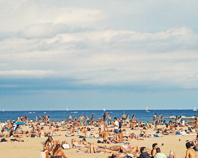 people on brown sand beach