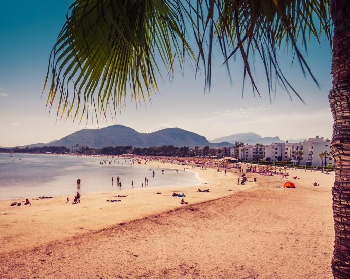 people on white sand beach