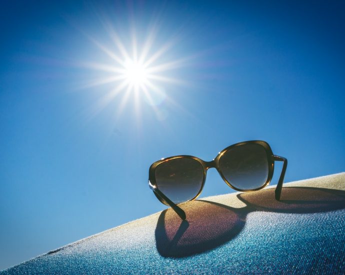 brown framed sunglasses