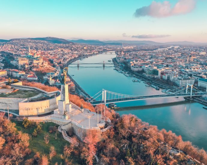 aerial photography of buildings viewing bridge and sea during daytime