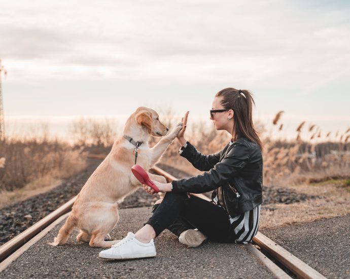 woman sitting and playing with dog outdoors