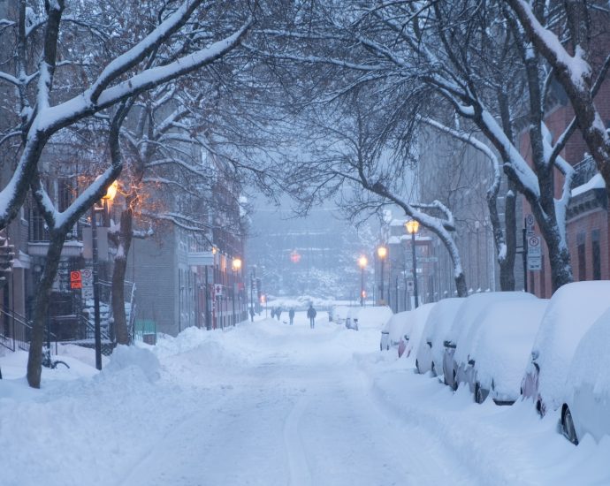 snow covers cars parked on road side