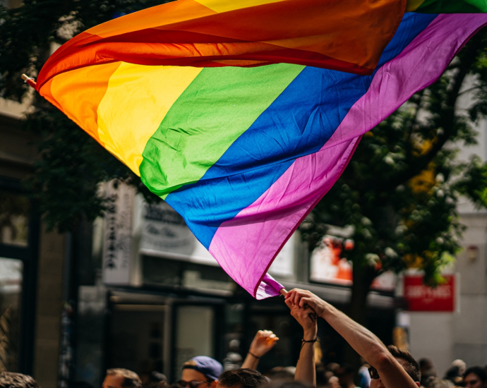 people holding flags during daytime