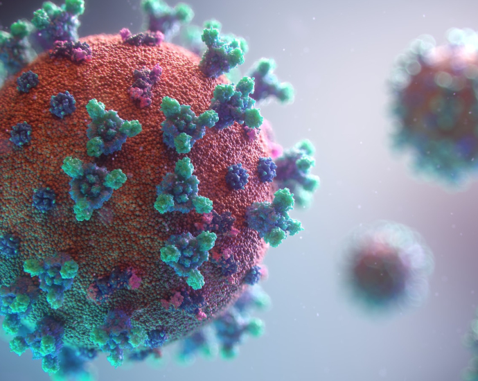 Visualization of the coronavirus causing COVID-19