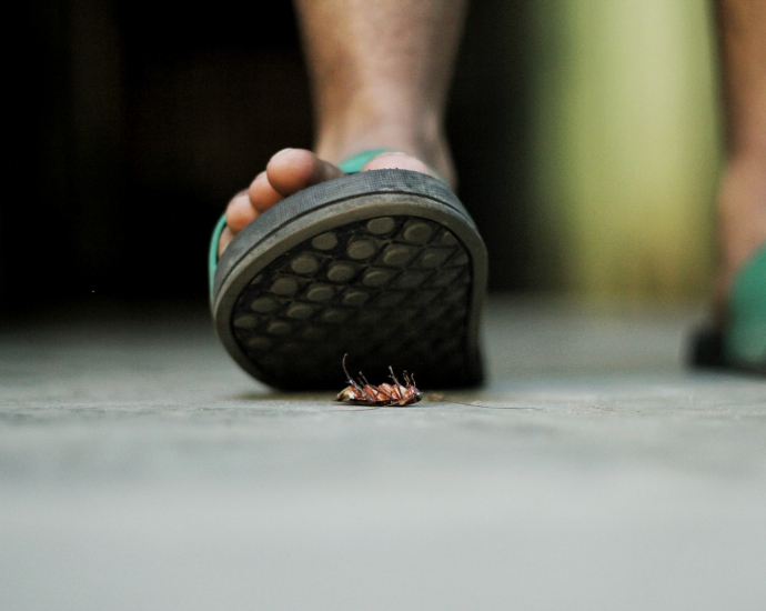 person wearing pair of slides