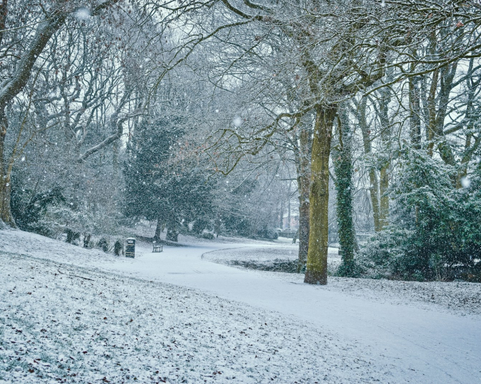 a snow covered park with trees and benches