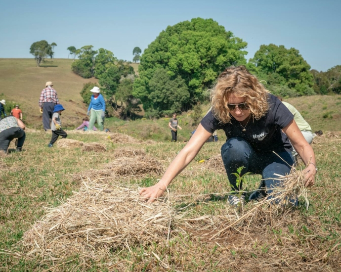 Volunteers Planting Trees