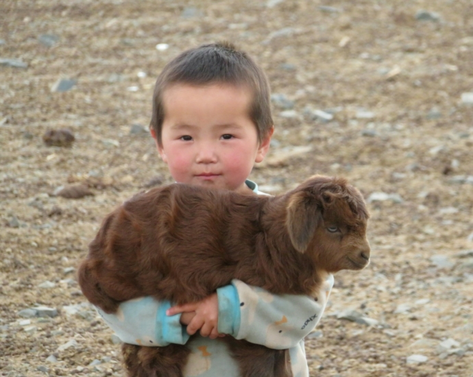 boy in white shirt and blue pants sitting on ground with brown and white short coated