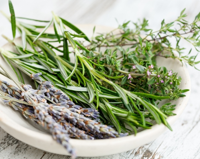 herbs, french, bouquet