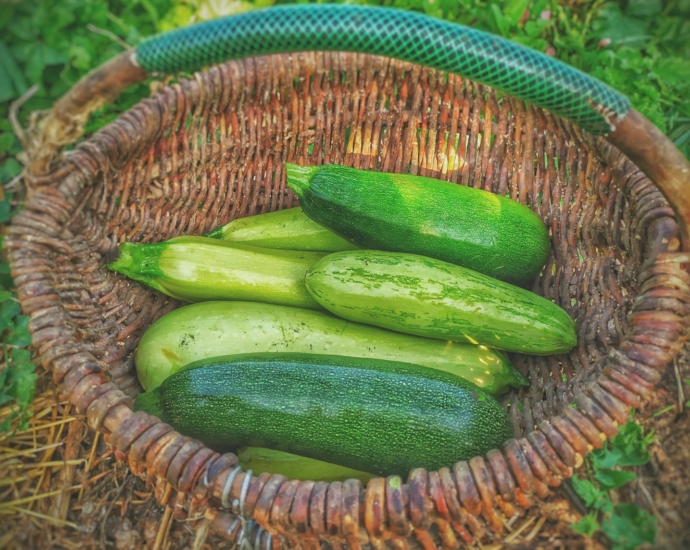 green cucumbers on round brown wicker basket