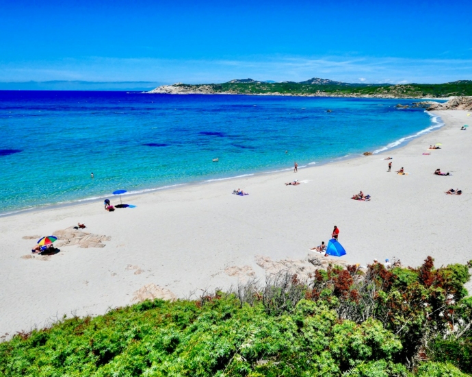 people on beach during daytime