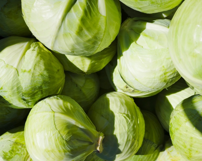 a group of white and green vegetables