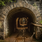 brown wooden ladder on tunnel