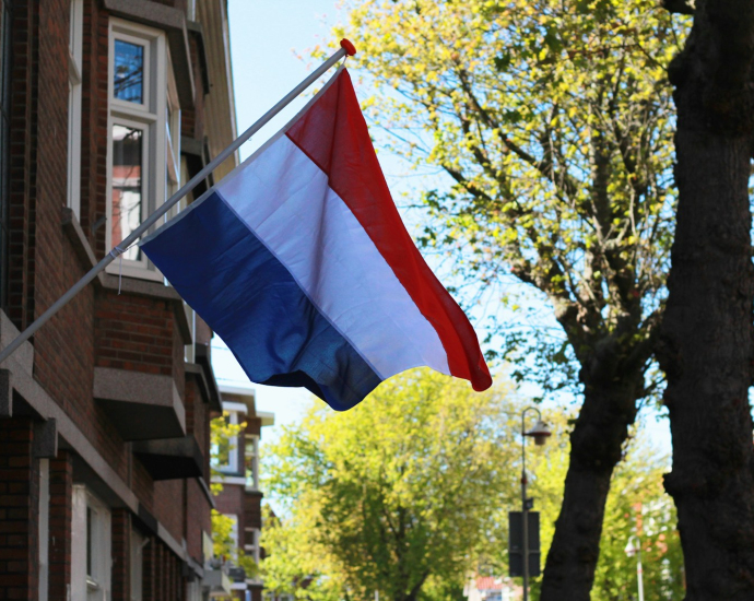 blue white and red flag on tree