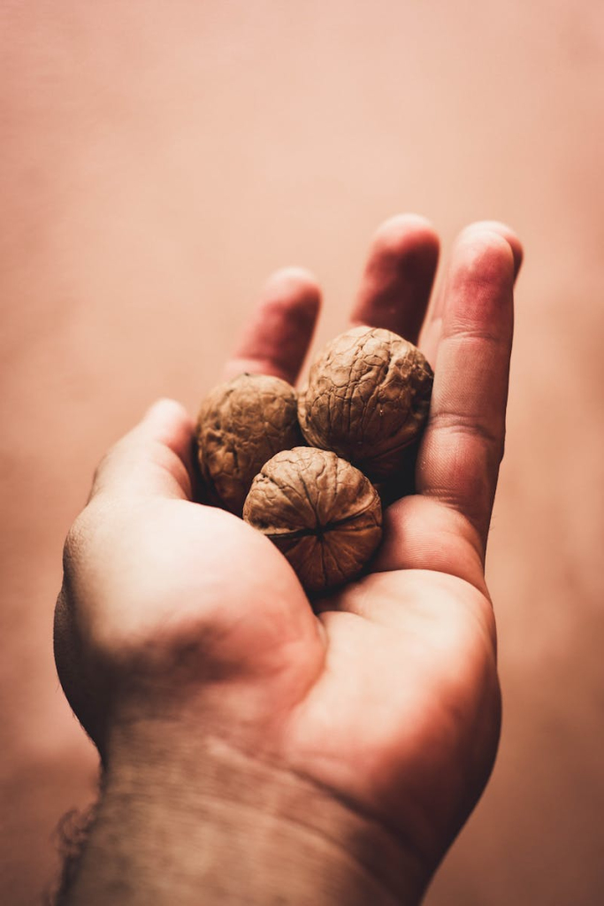 A close-up shot of three walnuts held in an adult's hand, featuring textured shells and warm tones.