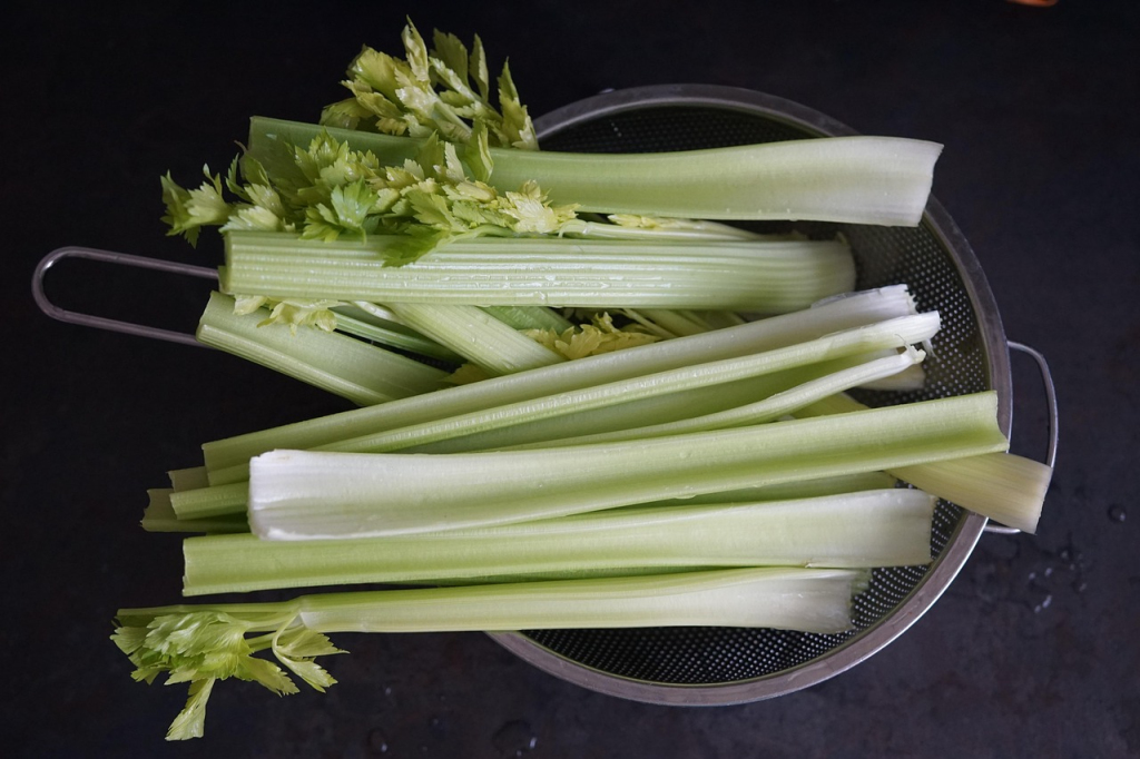 celery juice, celery, juice, healthy, blender, blending, vegan, celery, celery, celery, celery, celery