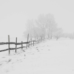 A serene winter scene featuring a rustic wooden fence in a snow-covered landscape.