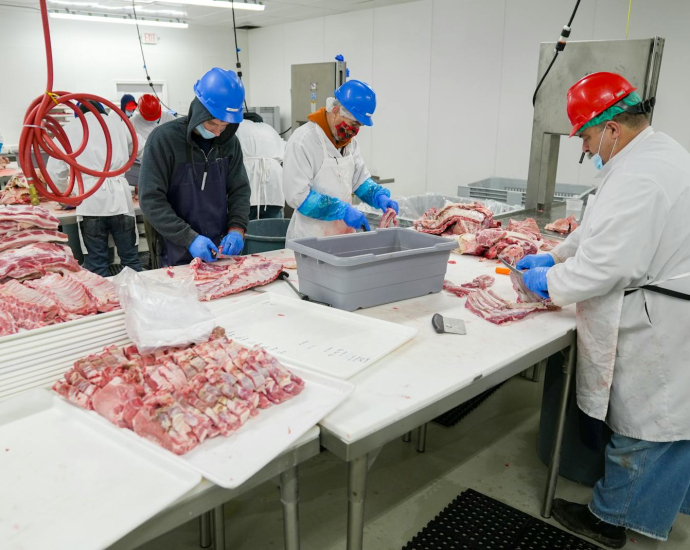 Butchers expertly processing meat in a USDA-inspected facility. Hygiene and precision are prioritized.