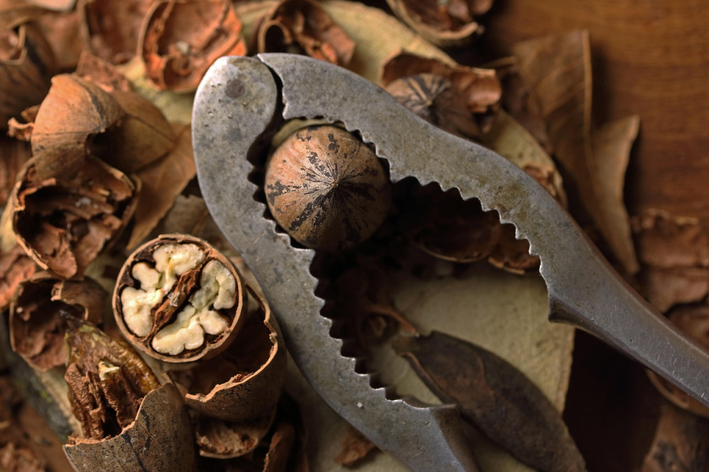 pecan nut, nut cracker, grip, shells, table top, produce, crop, healthy